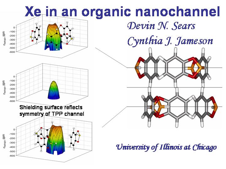 Xe in an organic nanochannel