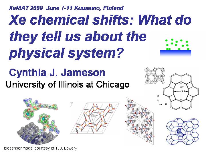 Xe chemical shifts, what do they tell us about the physical system?