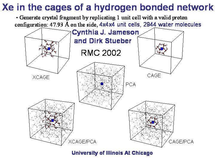 Xe in the cages of a hydrogen-bonded network